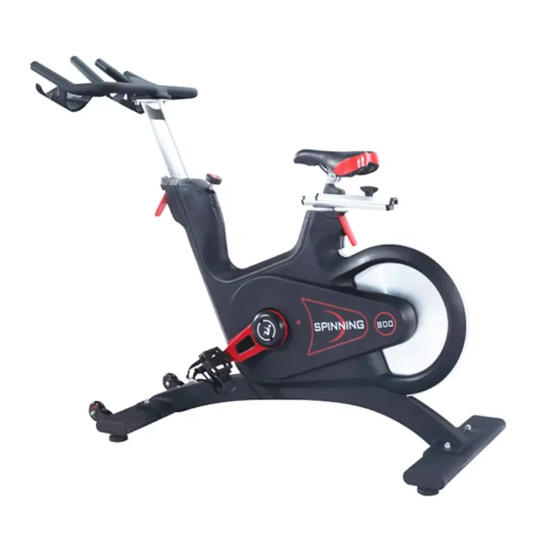 Professional Magnetic Resistan - Home Gym Workout ulasan dan harga
