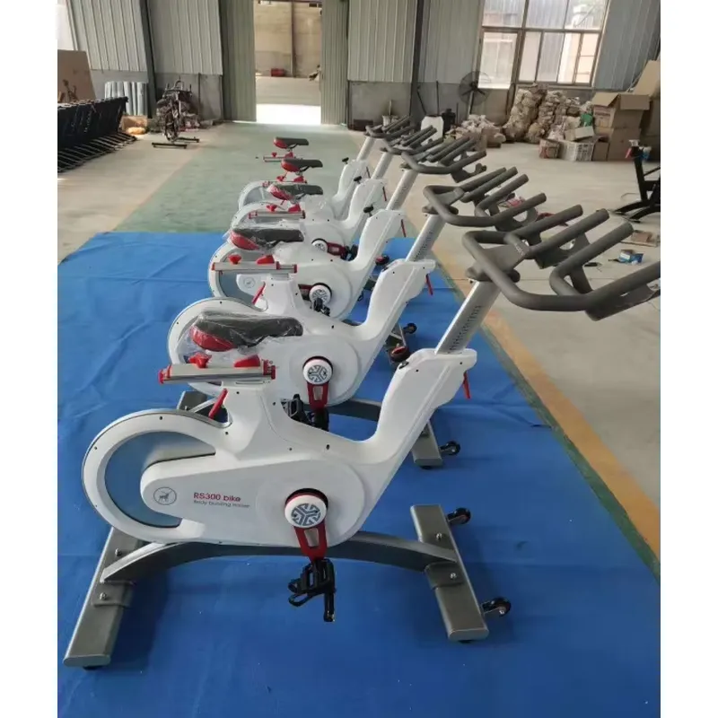 Professional Magnetic Resistan - Home Gym Workout ulasan dan harga