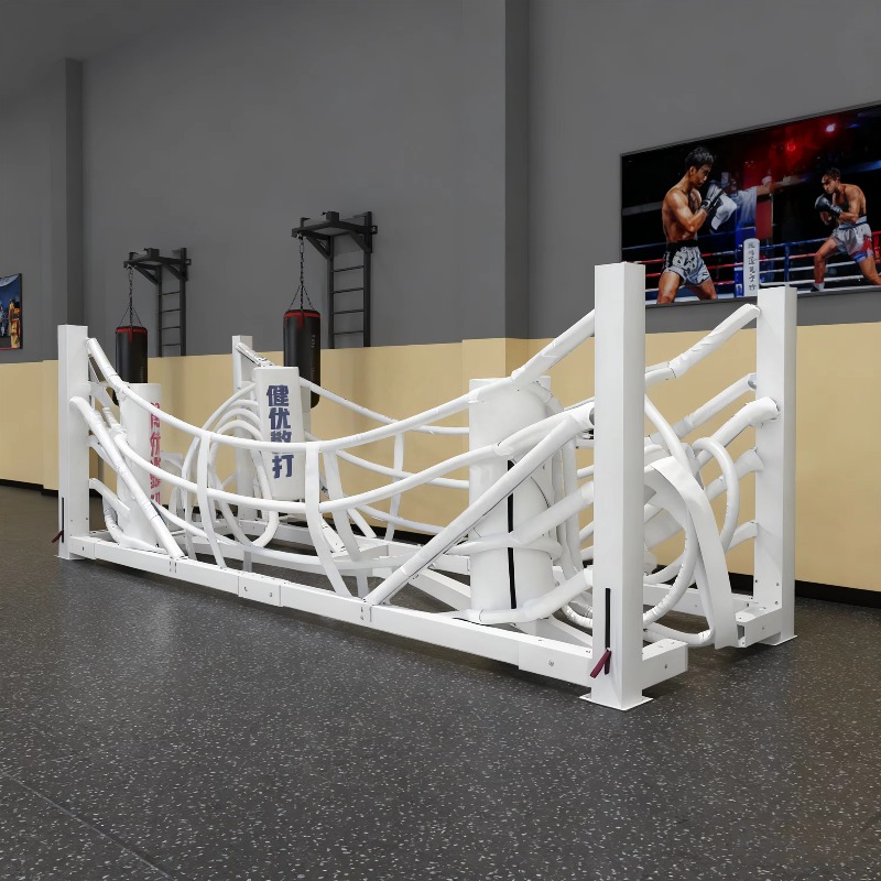 Foldable Gym Boxing Ring Set S - Home Gym Set ulasan dan harga