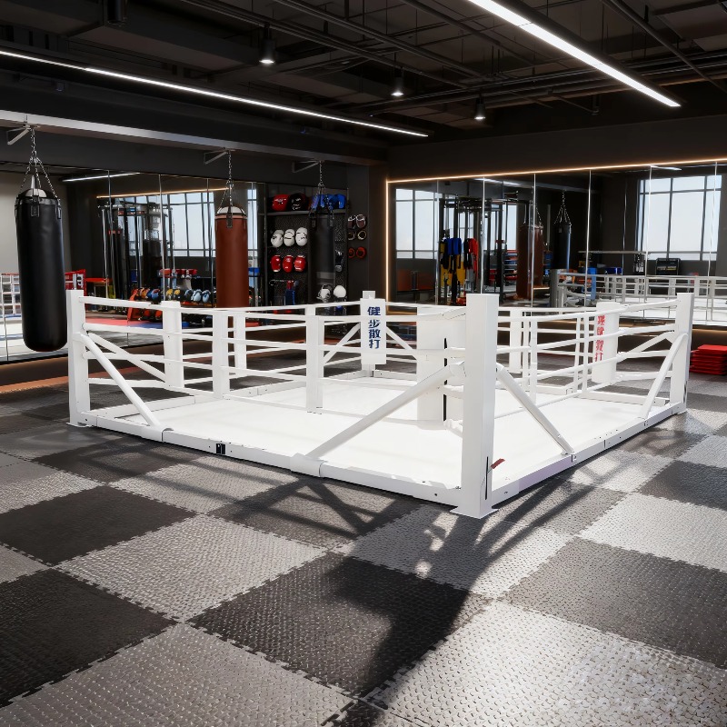 Foldable Gym Boxing Ring Set S - Home Gym Set ulasan dan harga